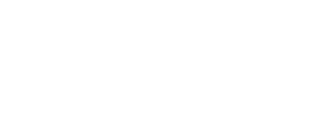 The University of Sydney