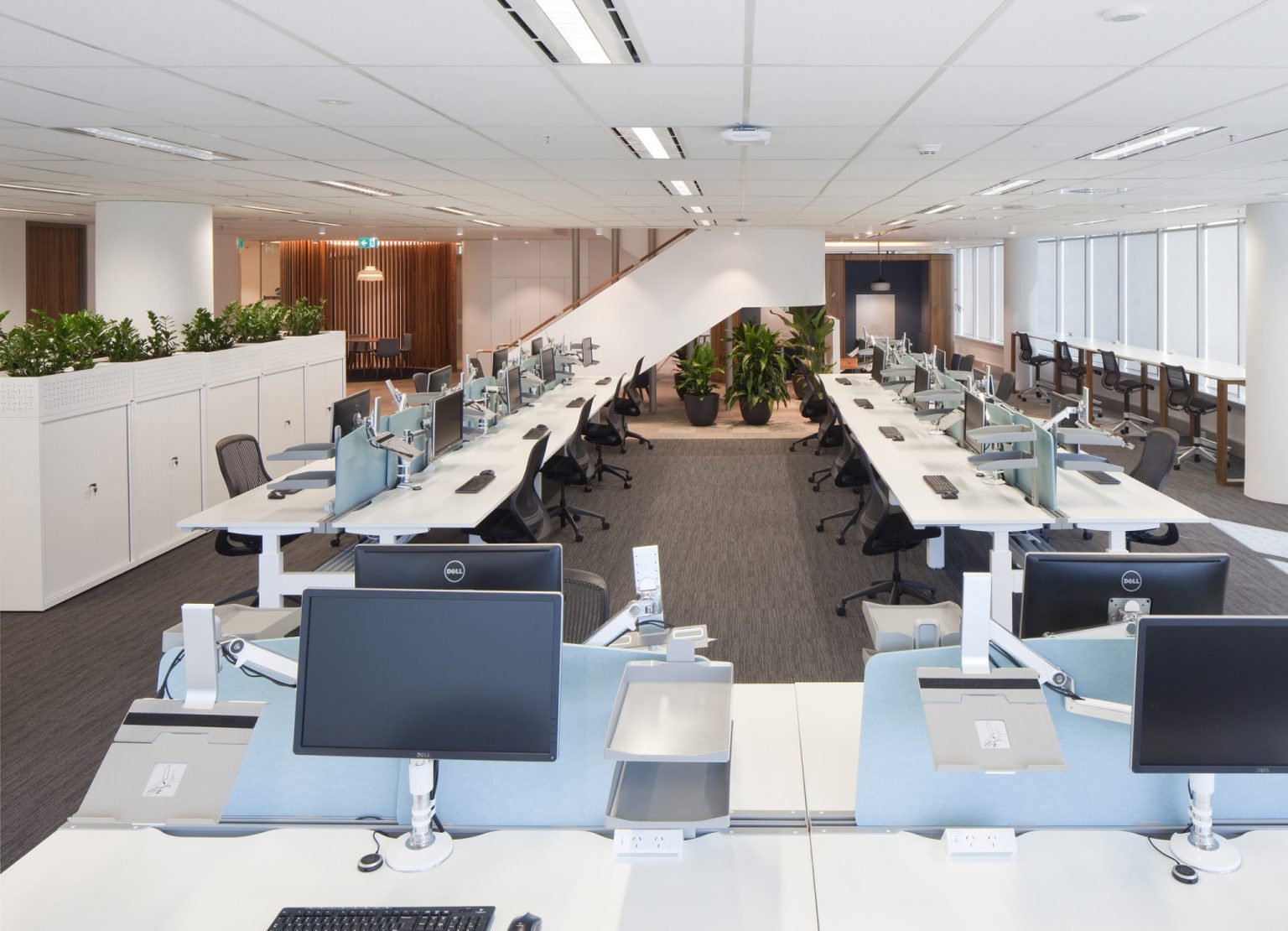 FDC Jemena 99 Walker St N Sydney 19 March 2015 L11 Workstati