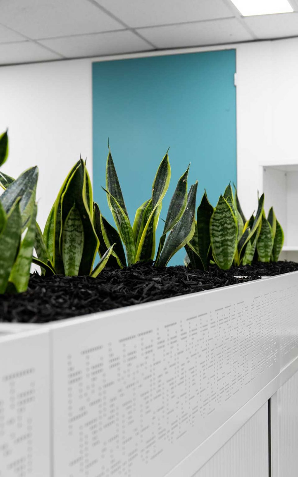 Viridian Advisory Interior Fitout, FDC Building