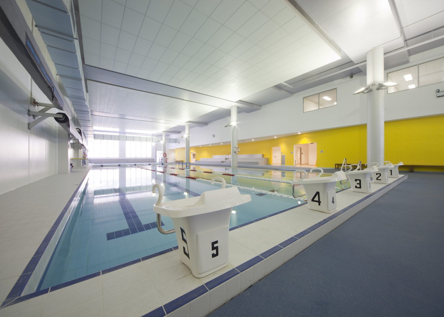 FDC-2-Daydream-St-Warriewood-13-July-2015-Pool-2