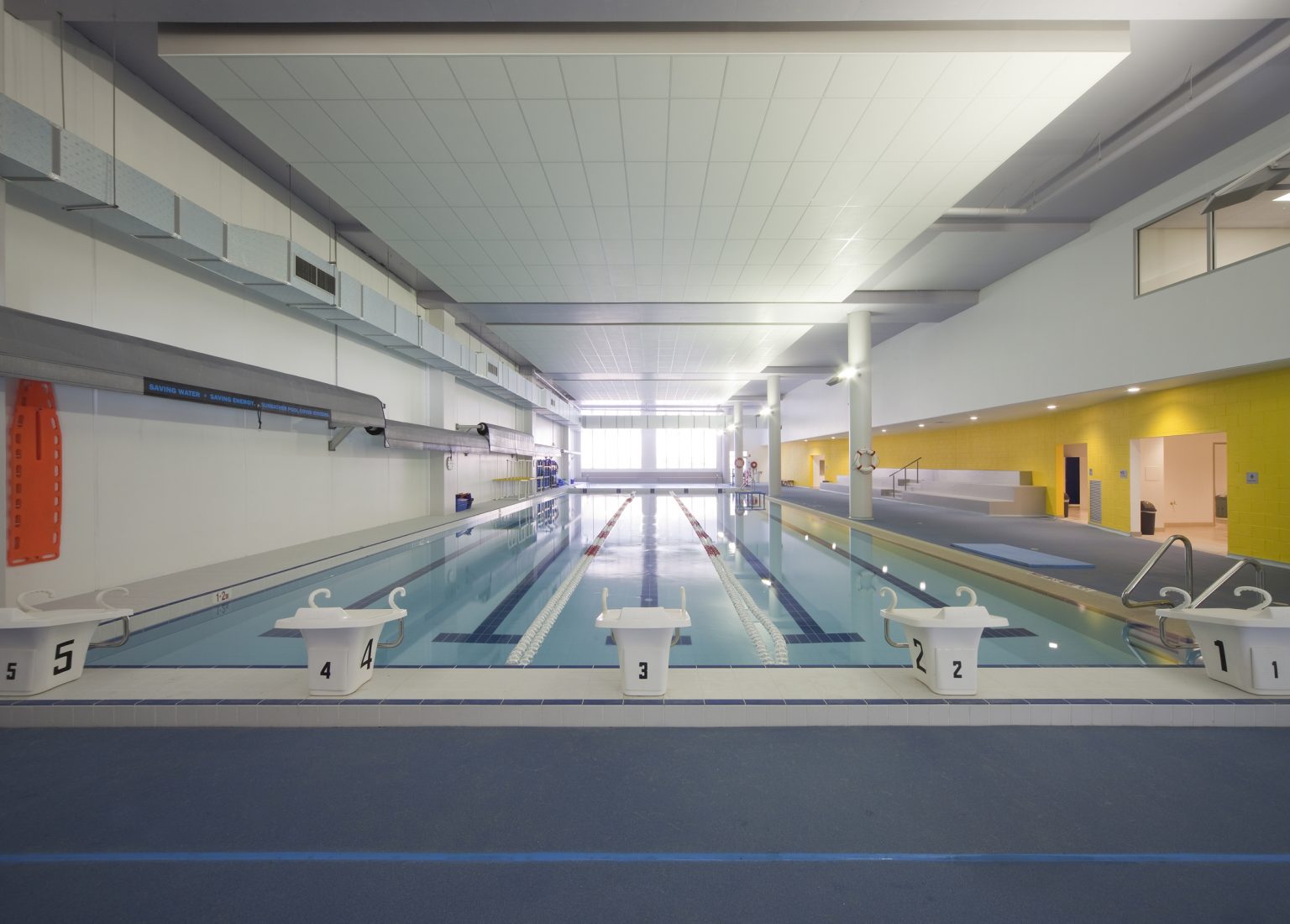 FDC-2-Daydream-St-Warriewood-13-July-2015-Pool-3