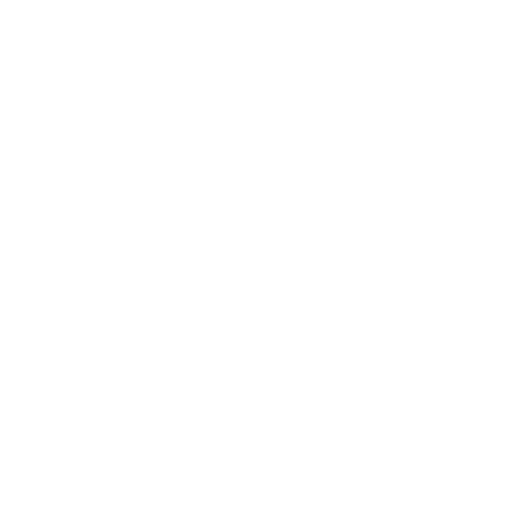 Mr Wong