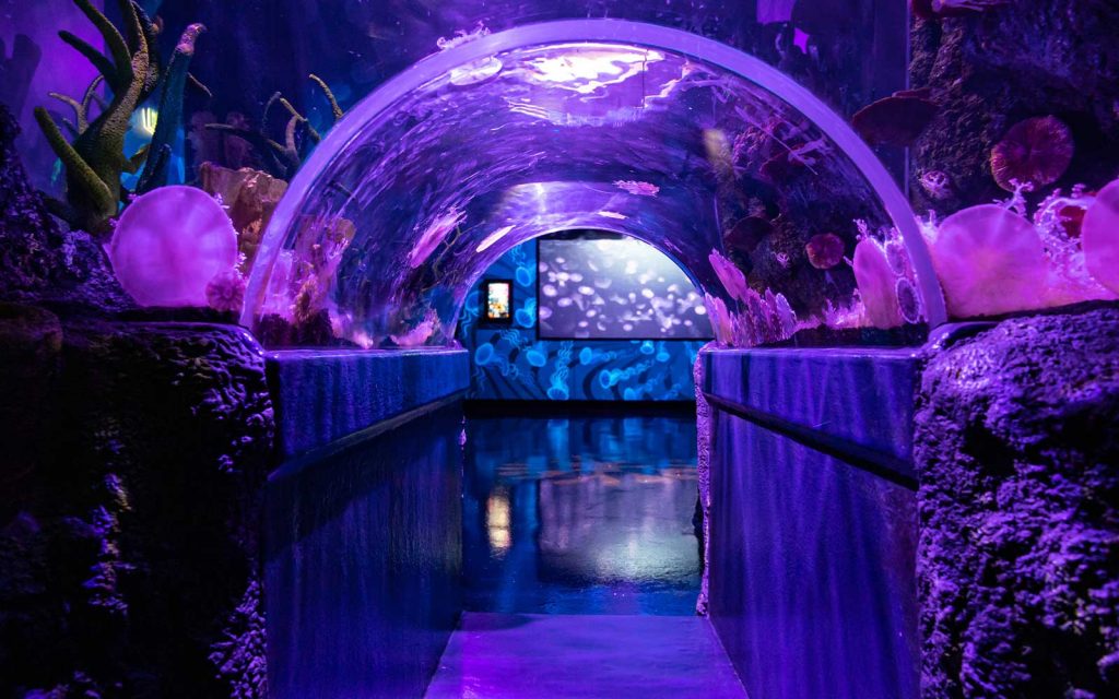 Sea Life Aquarium, Construction & Interior Fit Out, FDC Building