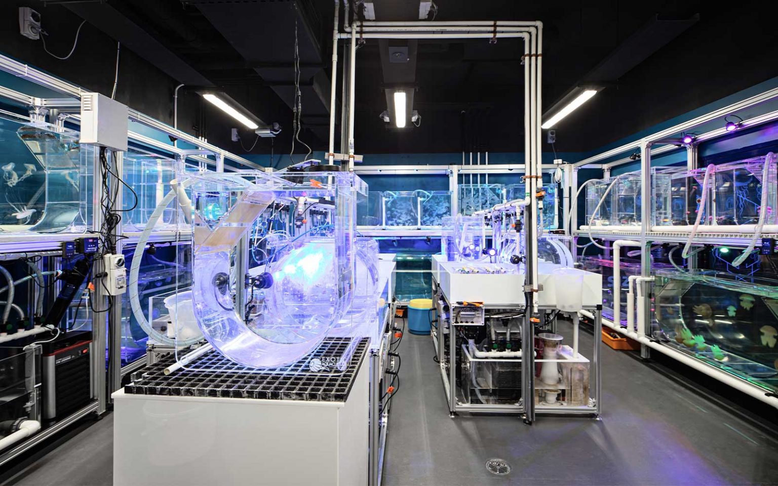 Sea Life Aquarium, Construction & Interior Fit Out, FDC Building