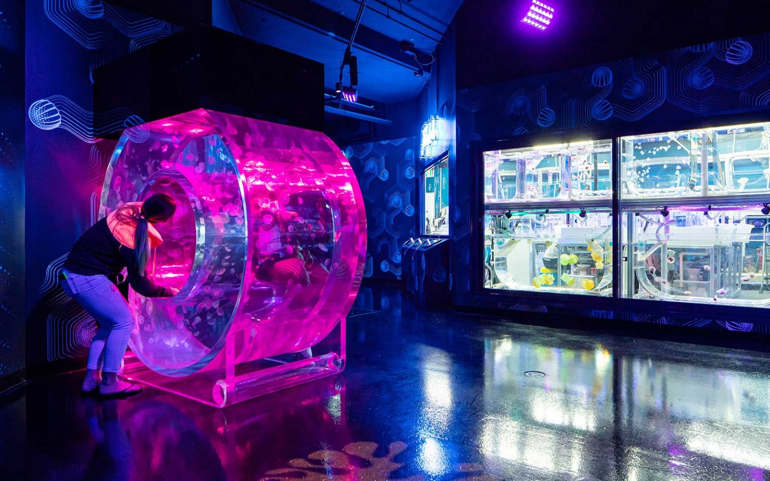Sea Life Aquarium, Construction & Interior Fit Out, FDC Building