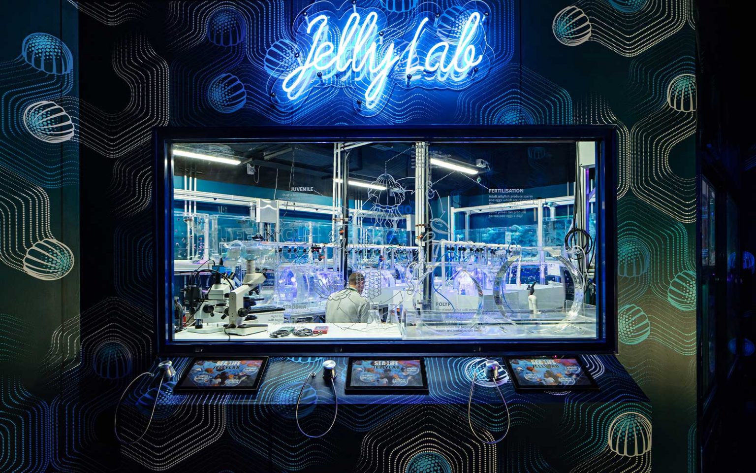 Sea Life Aquarium, Construction & Interior Fit Out, FDC Building