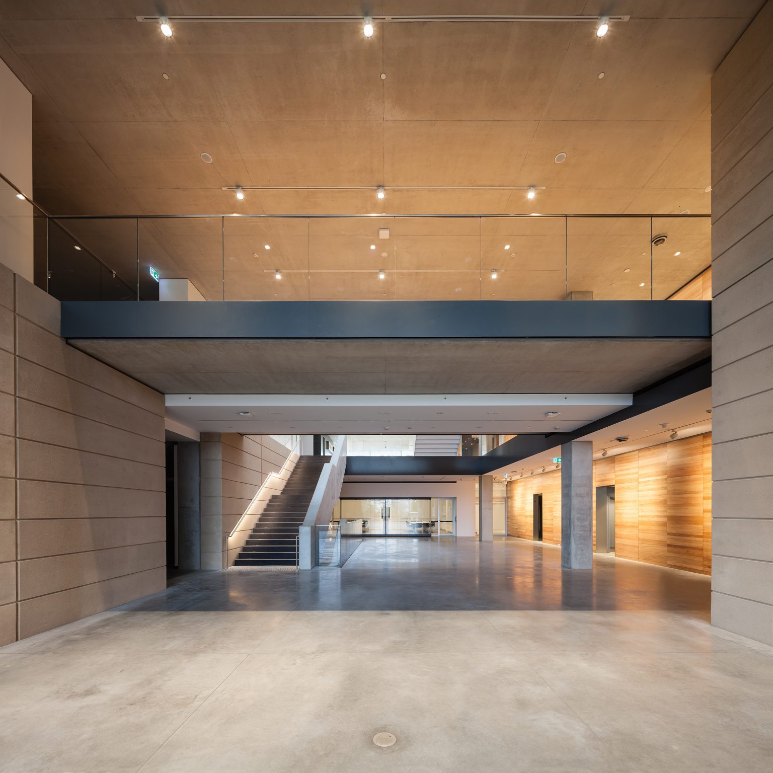 Chau Chak Wing Museum_6