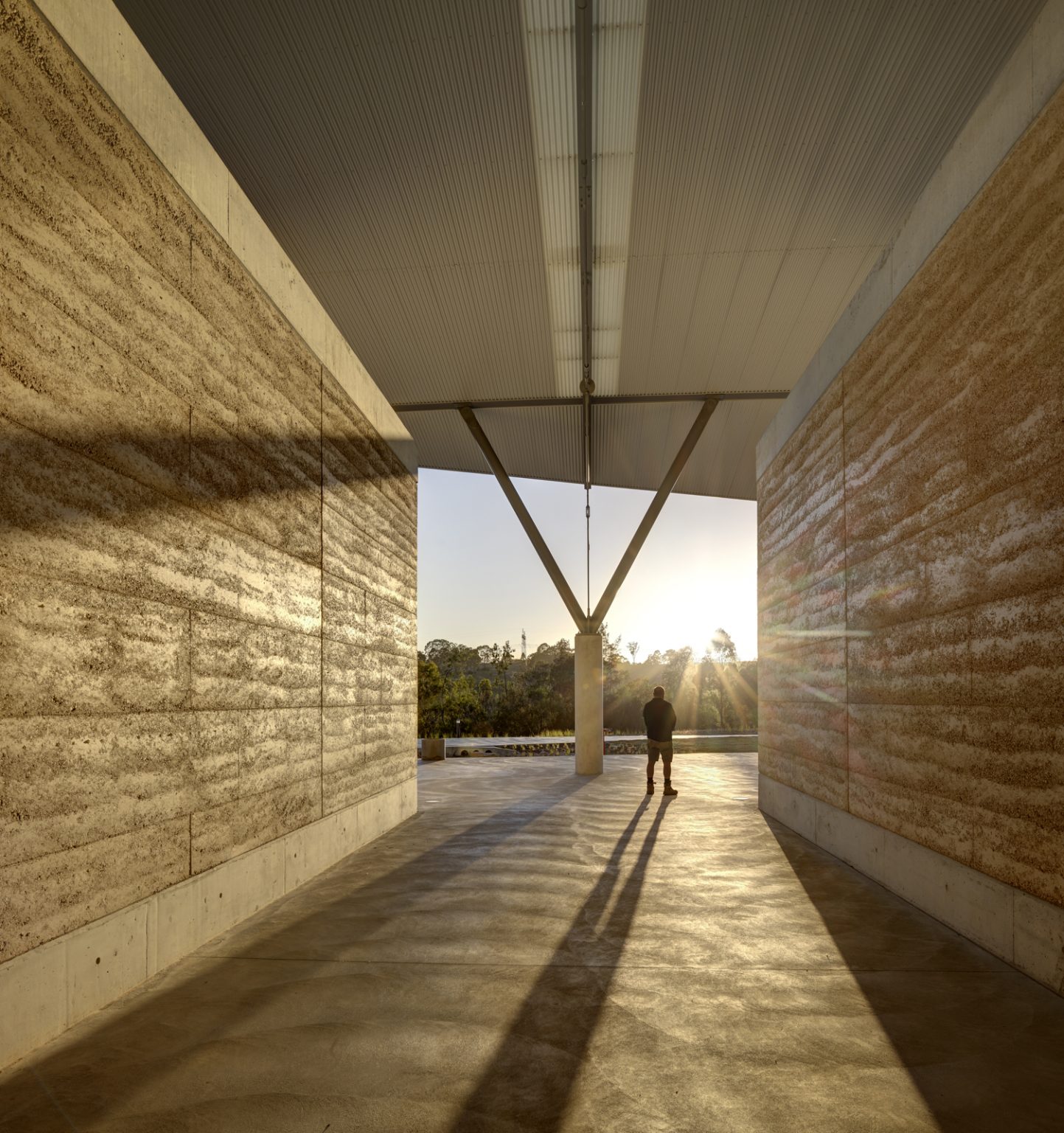 ARCHITECTUS_FDC_NationalHerbariumNSW_000009
