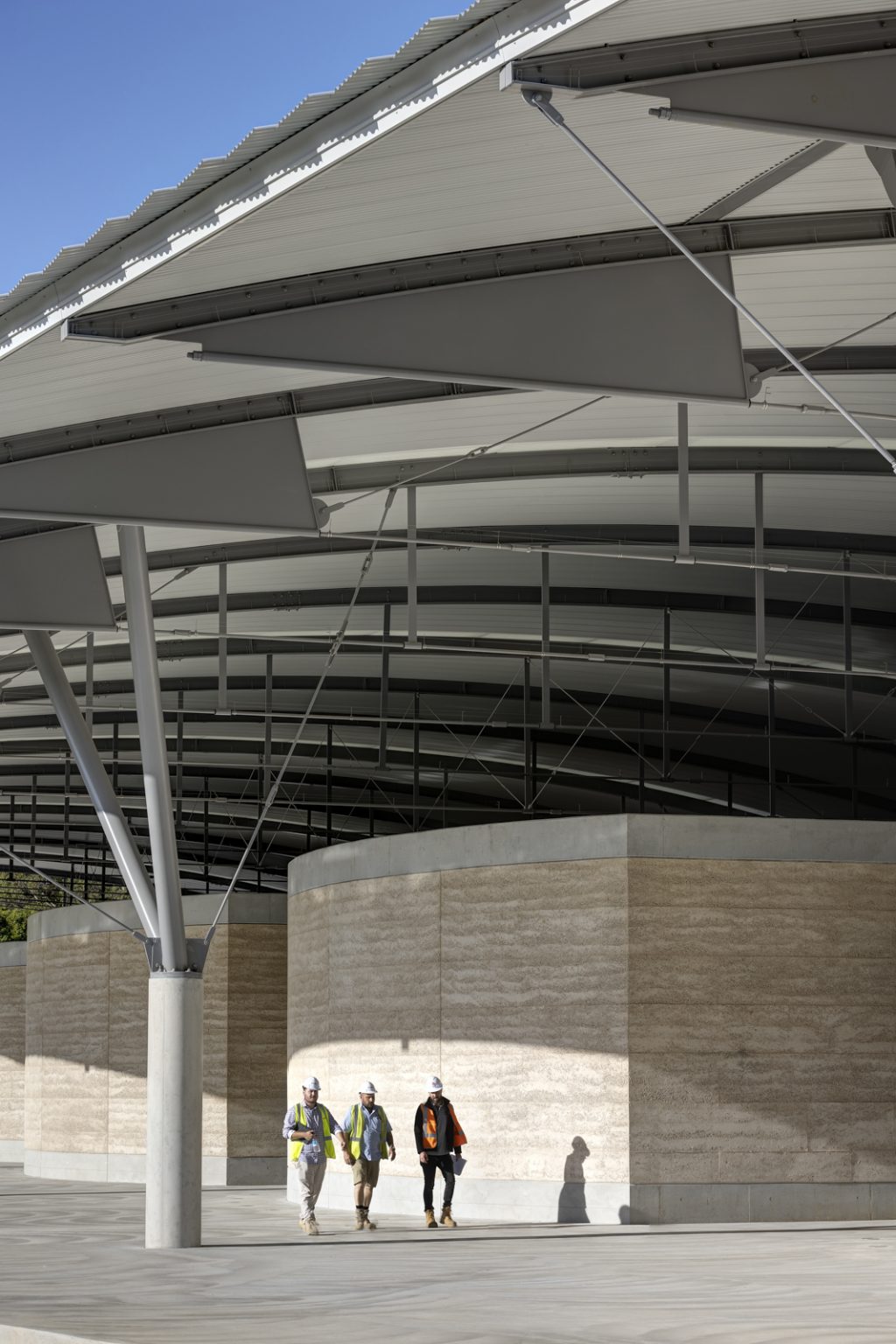 ARCHITECTUS_FDC_NationalHerbariumNSW_000700