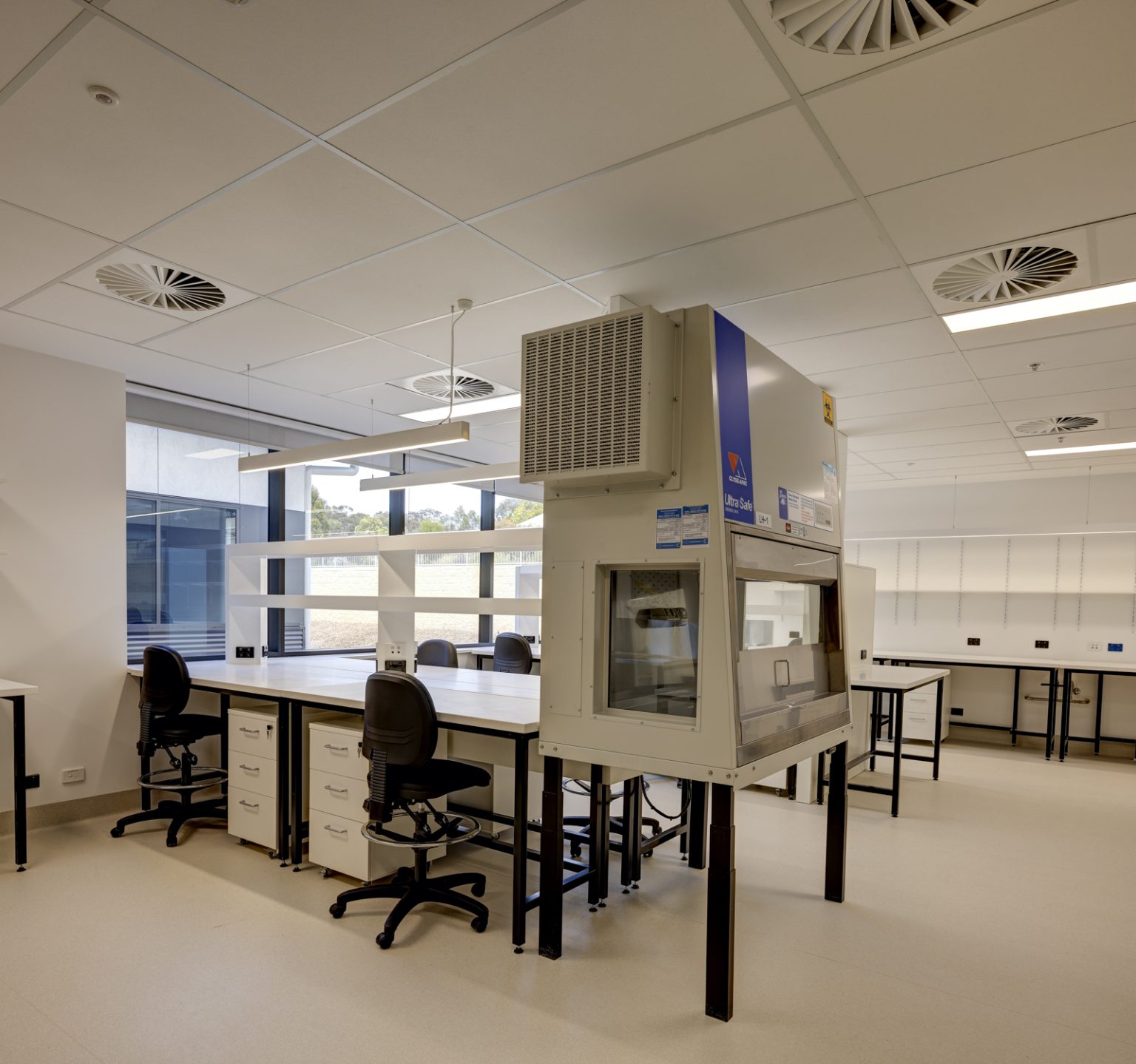ARCHITECTUS_FDC_NationalHerbariumNSW_001321