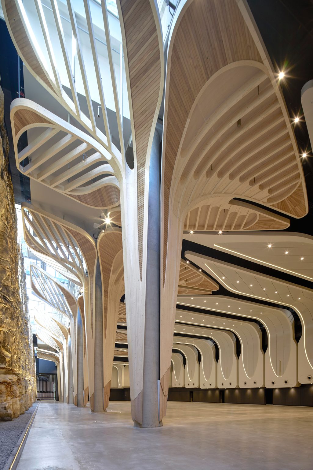 251202_FDC_TheCutaway_2576_HDR